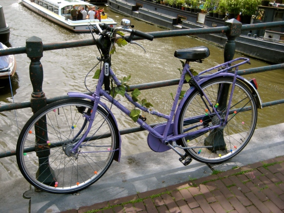purplebike