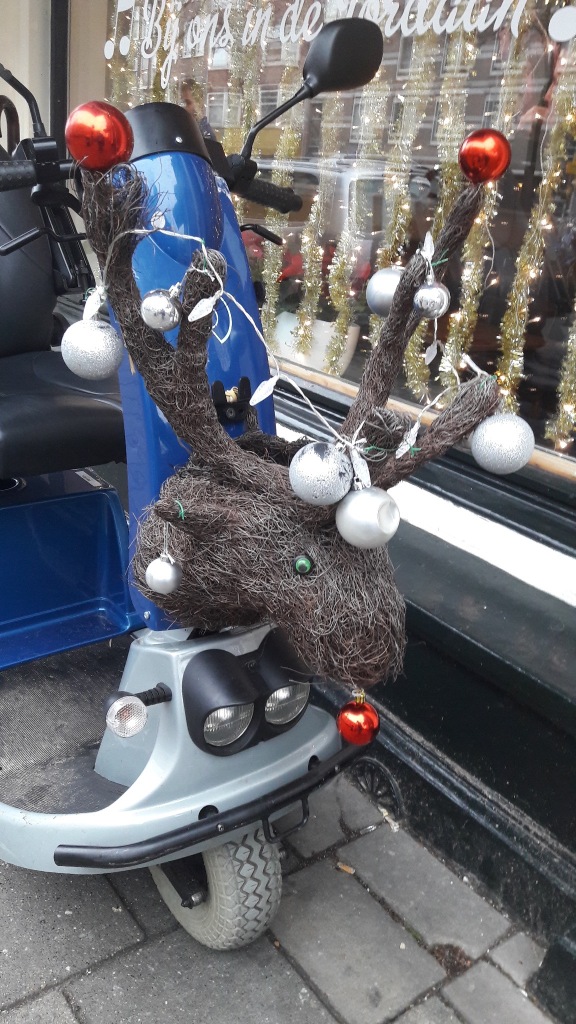 reindeer motorbike